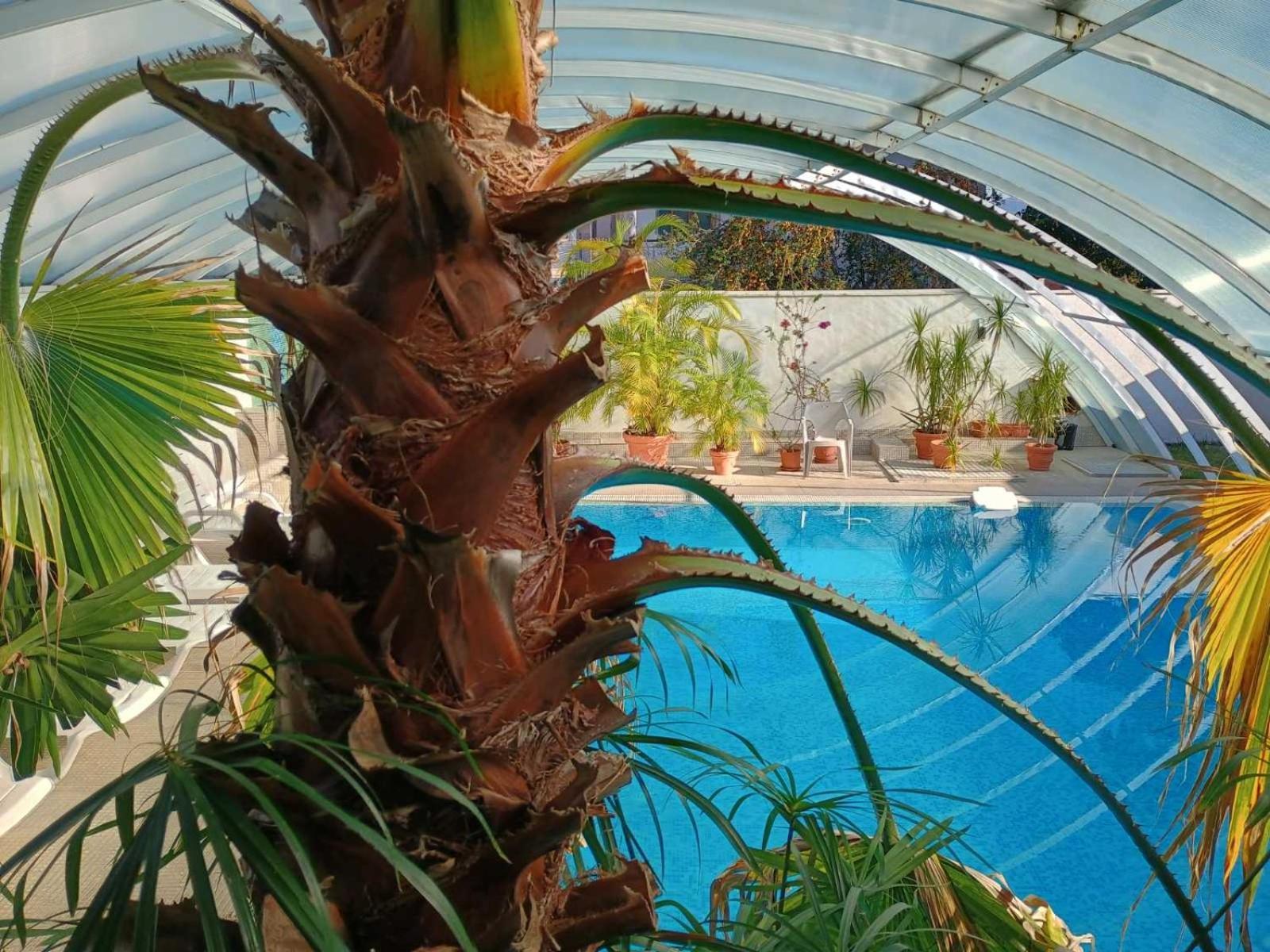 Enis Hotel С Минерален Басейн 萨帕雷瓦巴尼亚 外观 照片